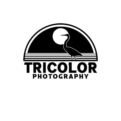 Tricolor Photography, Brunch in Vogue Sponsor
